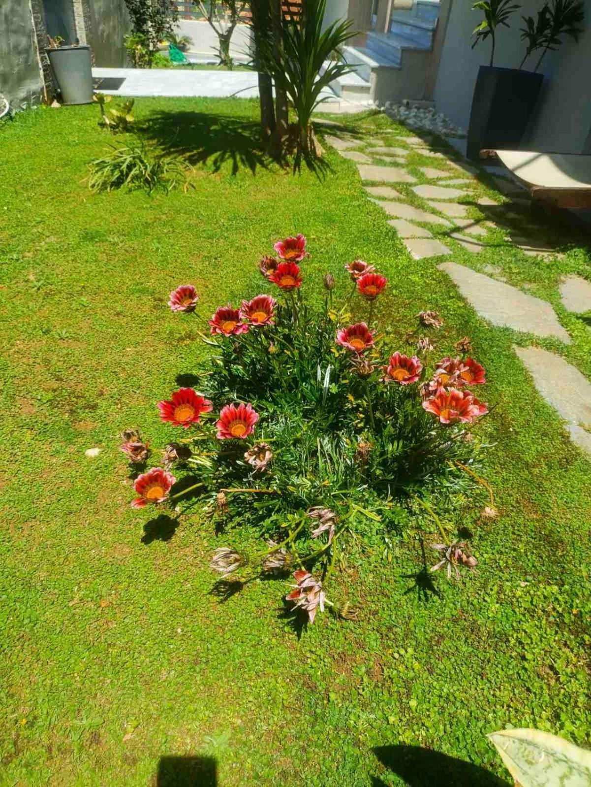 Sunrise Apartment 2 Σούδα Εξωτερικό φωτογραφία